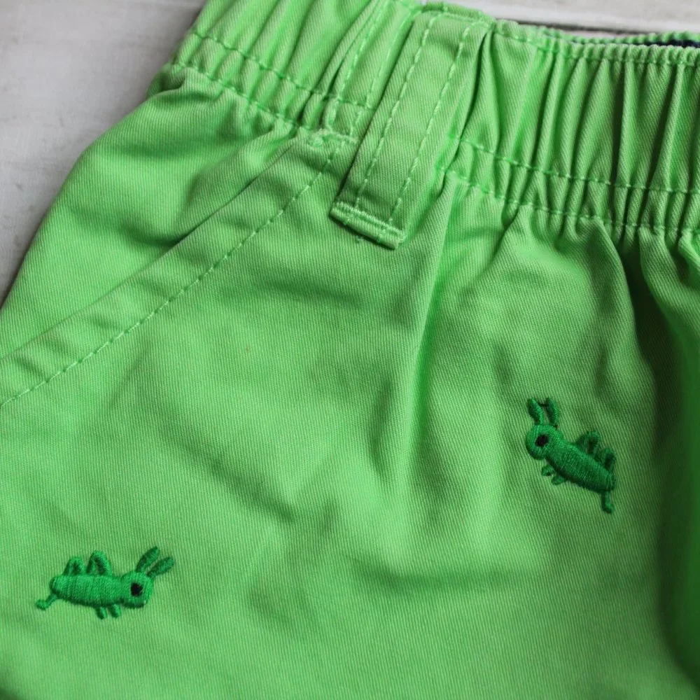 Gymboree Baby Boy Shorts Shirt Bodysuit Socks Lot
